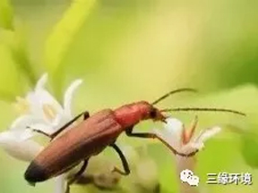 βMţжࡰţ h(hun)(zhn)